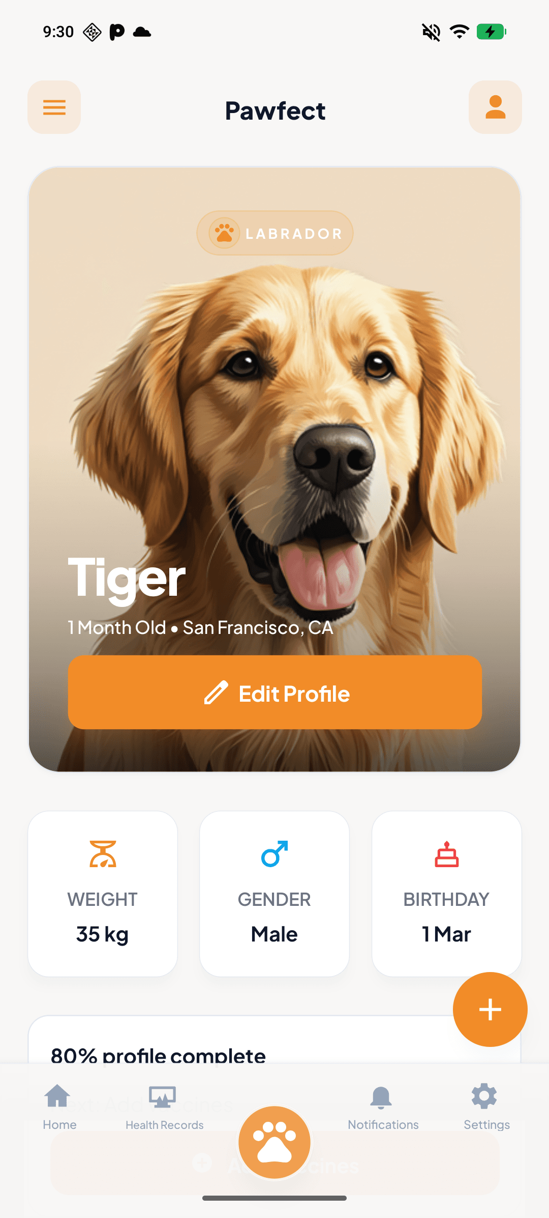 Pawfect quick actions and today care sections